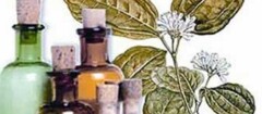 farmacias-de-homeopatia-carapicuiba-1480094551