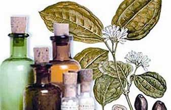 Farmácia Central Homeopática - Foto 1