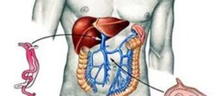 gastroenterologia-carapicuiba-1480364115
