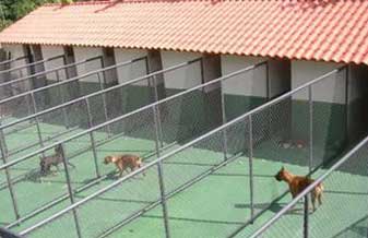 House Dog Hotel, Day Care e Pet Beauty - Foto 1