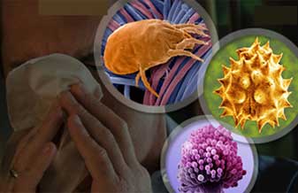 Dr. José Jorge Neto - Foto 1