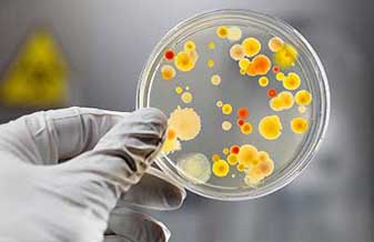 Luciana Giusti Serra - Foto 1