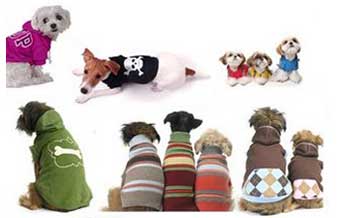 Pet Shop Cão Chic - Foto 1