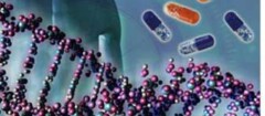 analise-de-dna-carapicuiba-1480621473