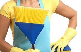 Lisa Serviços Domésticos - Foto 1