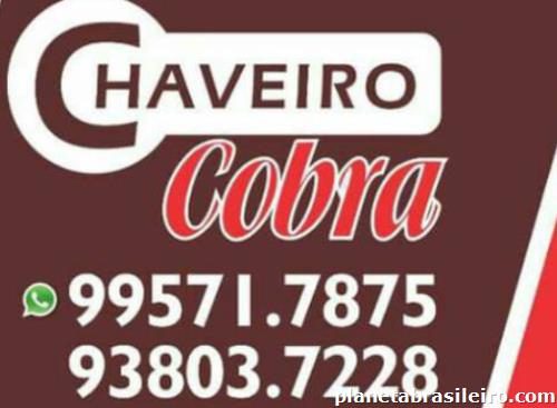 Chaveiro cobra - Foto 1