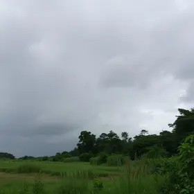 tempo em Carapicuíba