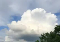 Carapicuíba previsão do tempo