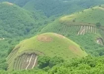 Concurso Carapicuíba SP