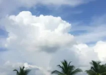 Carapicuíba