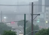 alerta amarelo chuvas intensas São Paulo