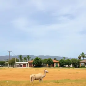 alerta amarelo de umidade