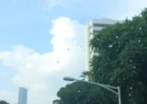 umidade em São Paulo