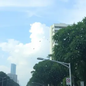 umidade em São Paulo