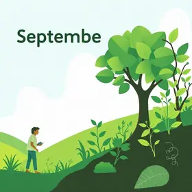 Setembro Verde Carapicuíba