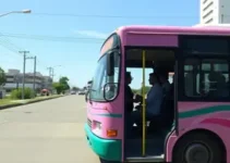 Ônibus Rosa
