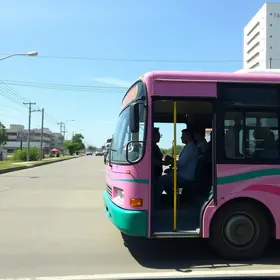 Ônibus Rosa