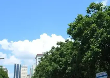 Últimas noticias de Carapicuíba
